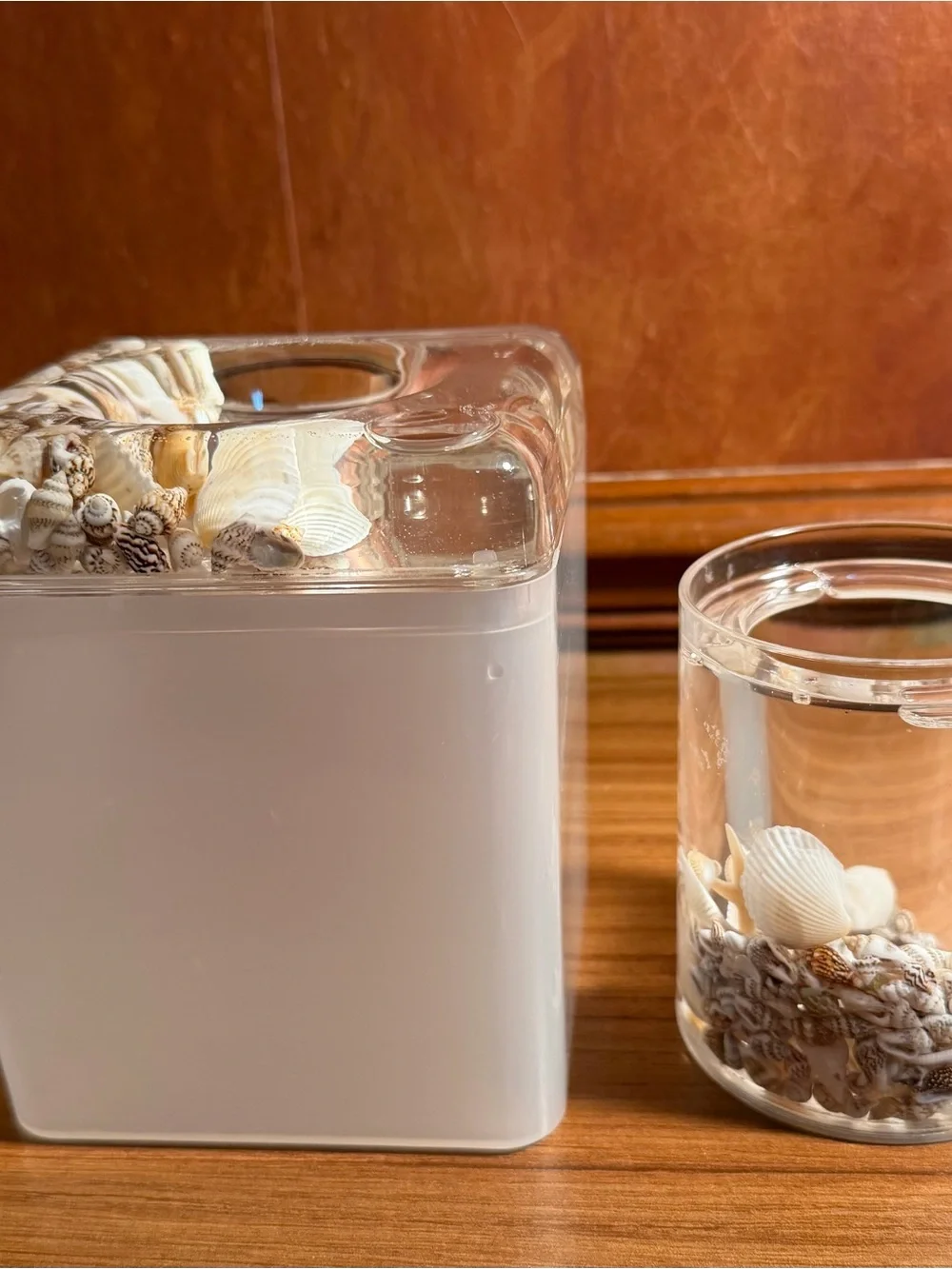 VTG Lucite Acrylic Seashell Floating Vanity Set Tissue Box Toothbrush Holder